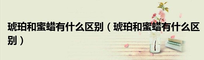 琥珀和蜜蜡有什么区别（琥珀和蜜蜡有什么区别）