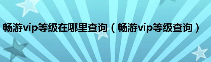 畅游vip等级在哪里查询（畅游vip等级查询）