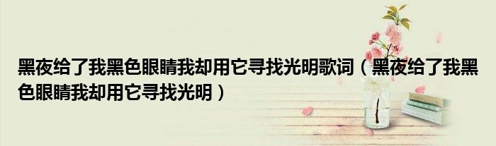 黑夜给了我黑色眼睛我却用它寻找光明歌词（黑夜给了我黑色眼睛我却用它寻找光明）