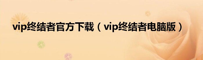vip终结者官方下载（vip终结者电脑版）