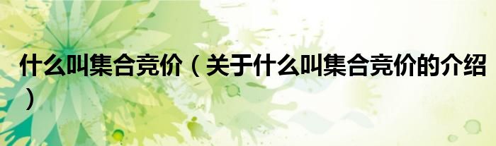什么叫集合竞价（关于什么叫集合竞价的介绍）