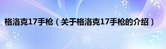 格洛克17手枪（关于格洛克17手枪的介绍）