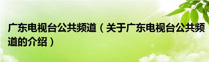 广东电视台公共频道（关于广东电视台公共频道的介绍）