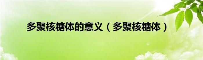 多聚核糖体的意义（多聚核糖体）