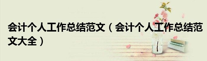 会计个人工作总结范文（会计个人工作总结范文大全）