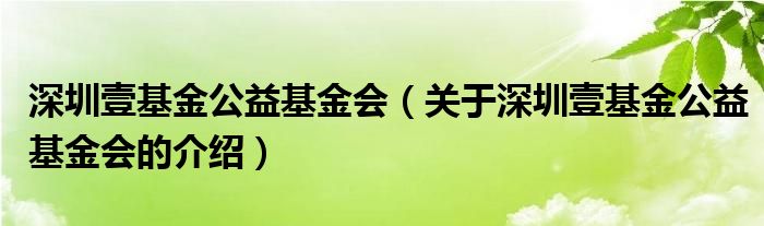 深圳壹基金公益基金会（关于深圳壹基金公益基金会的介绍）