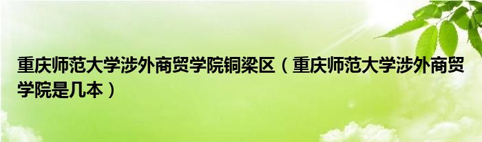 重庆师范大学涉外商贸学院铜梁区（重庆师范大学涉外商贸学院是几本）