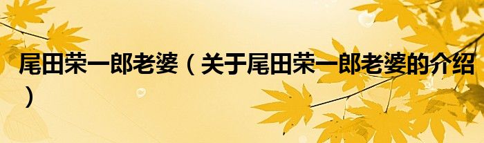 尾田荣一郎老婆（关于尾田荣一郎老婆的介绍）