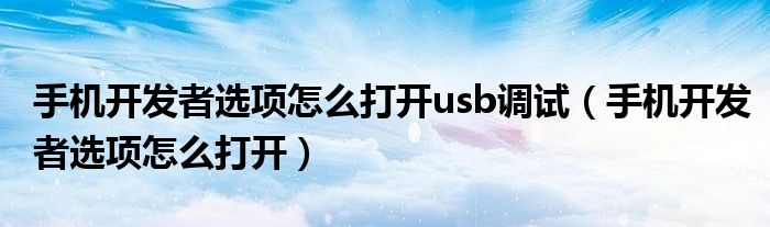 手机开发者选项怎么打开usb调试（手机开发者选项怎么打开）