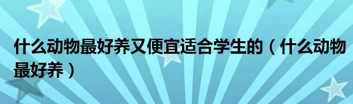 什么动物最好养又便宜适合学生的（什么动物最好养）