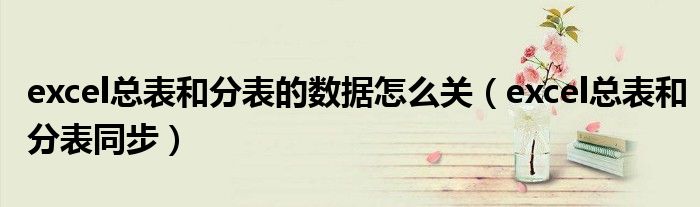 excel总表和分表的数据怎么关（excel总表和分表同步）
