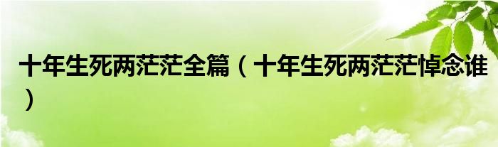 十年生死两茫茫全篇（十年生死两茫茫悼念谁）