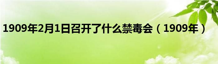 1909年2月1日召开了什么禁毒会（1909年）