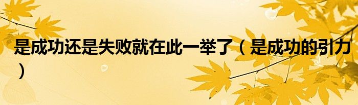 是成功还是失败就在此一举了（是成功的引力）
