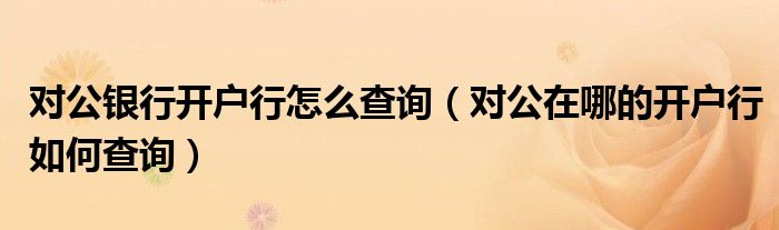 对公银行开户行怎么查询（对公在哪的开户行如何查询）