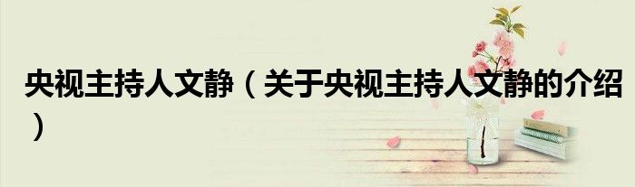 央视主持人文静（关于央视主持人文静的介绍）