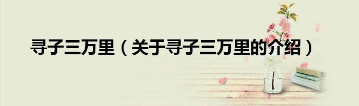 寻子三万里（关于寻子三万里的介绍）