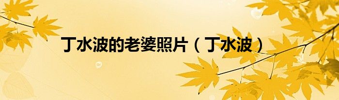 丁水波的老婆照片（丁水波）