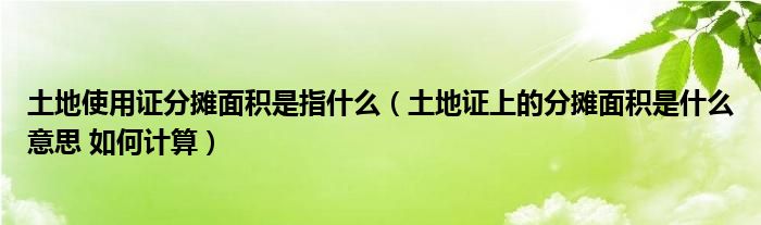 土地使用证分摊面积是指什么（土地证上的分摊面积是什么意思 如何计算）