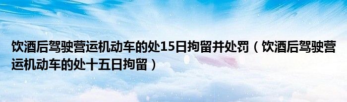 饮酒后驾驶营运机动车的处15日拘留并处罚（饮酒后驾驶营运机动车的处十五日拘留）