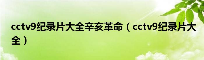 cctv9纪录片大全辛亥革命（cctv9纪录片大全）