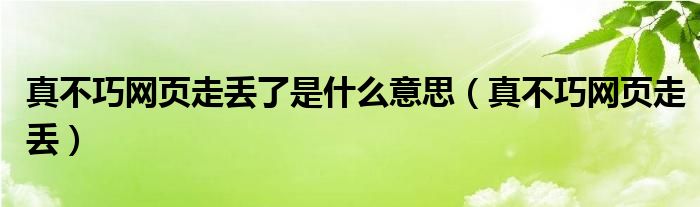 真不巧网页走丢了是什么意思（真不巧网页走丢）