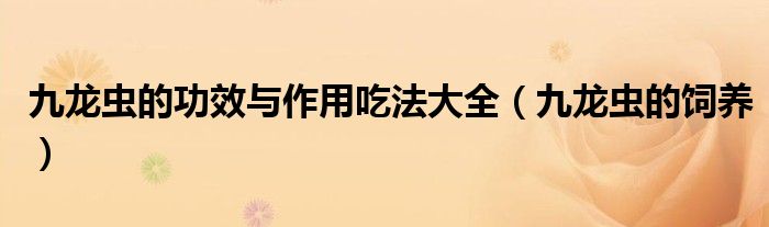 九龙虫的功效与作用吃法大全（九龙虫的饲养）