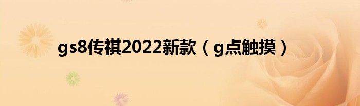 gs8传祺2022新款（g点触摸）