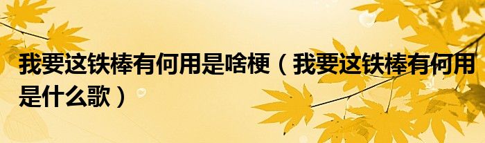 我要这铁棒有何用是啥梗（我要这铁棒有何用是什么歌）