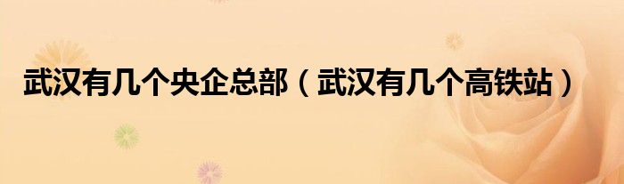 武汉有几个央企总部（武汉有几个高铁站）