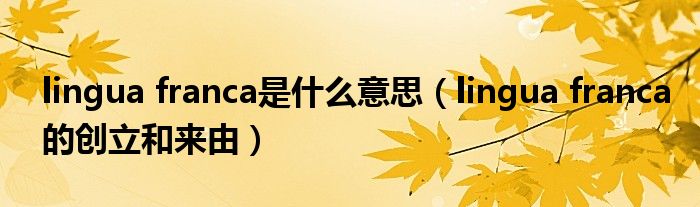 lingua franca是什么意思（lingua franca的创立和来由）