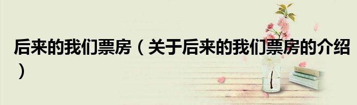 后来的我们票房（关于后来的我们票房的介绍）