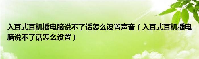 入耳式耳机插电脑说不了话怎么设置声音（入耳式耳机插电脑说不了话怎么设置）