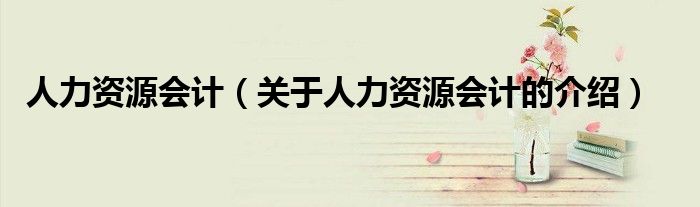 人力资源会计（关于人力资源会计的介绍）