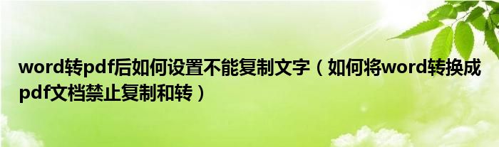 word转pdf后如何设置不能复制文字（如何将word转换成pdf文档禁止复制和转）