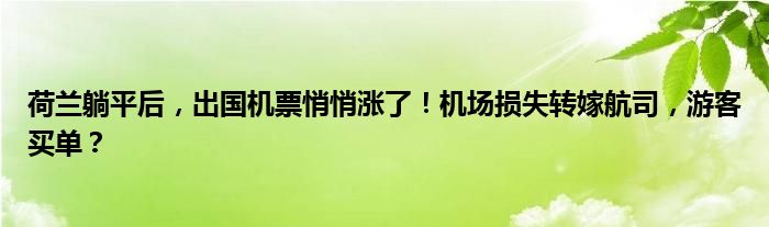 荷兰躺平后，出国机票悄悄涨了！机场损失转嫁航司，游客买单？