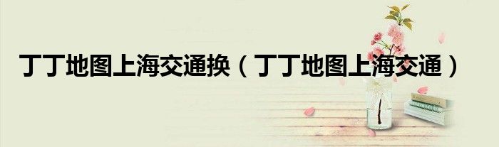 丁丁地图上海交通换（丁丁地图上海交通）