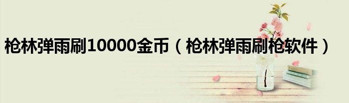 枪林弹雨刷10000金币（枪林弹雨刷枪软件）