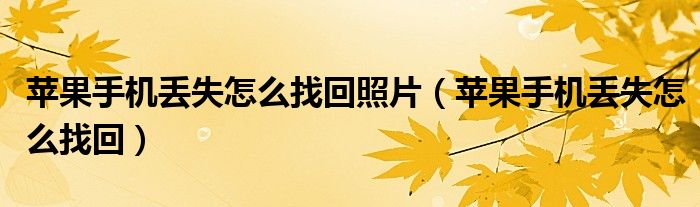 苹果手机丢失怎么找回照片（苹果手机丢失怎么找回）