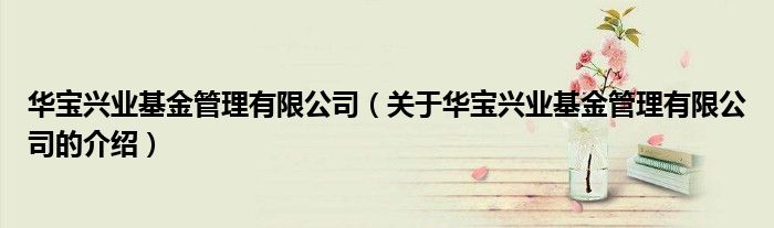 华宝兴业基金管理有限公司（关于华宝兴业基金管理有限公司的介绍）