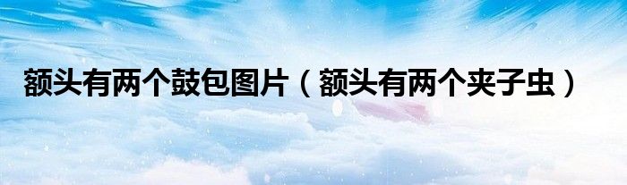 额头有两个鼓包图片（额头有两个夹子虫）