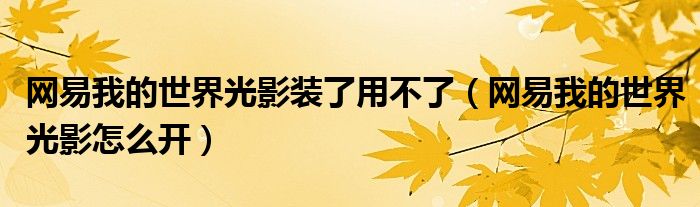 网易我的世界光影装了用不了（网易我的世界光影怎么开）
