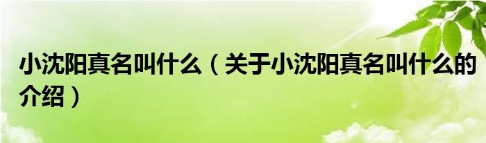 小沈阳真名叫什么（关于小沈阳真名叫什么的介绍）
