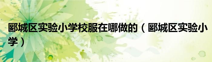 郾城区实验小学校服在哪做的（郾城区实验小学）