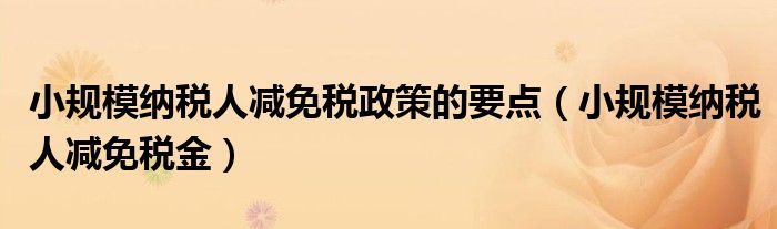 小规模纳税人减免税政策的要点（小规模纳税人减免税金）