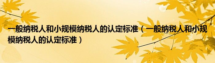 一般纳税人和小规模纳税人的认定标准（一般纳税人和小规模纳税人的认定标准）