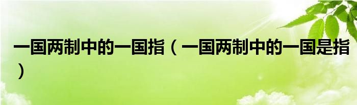 一国两制中的一国指（一国两制中的一国是指）