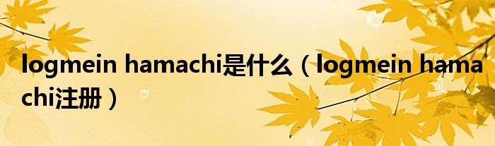 logmein hamachi是什么（logmein hamachi注册）