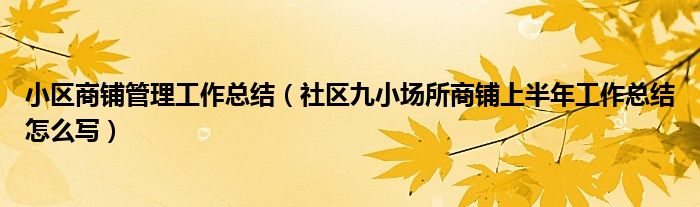 小区商铺管理工作总结（社区九小场所商铺上半年工作总结怎么写）