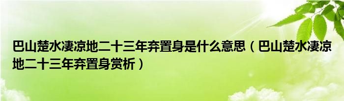 巴山楚水凄凉地二十三年弃置身是什么意思（巴山楚水凄凉地二十三年弃置身赏析）